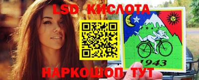 стаф Будённовск